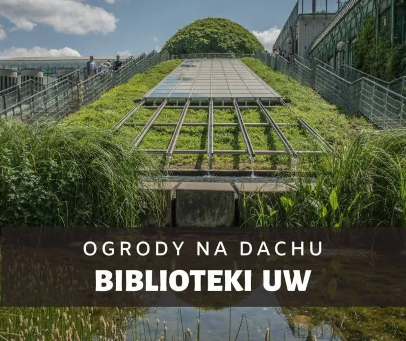 Ogród na dachu biblioteki uniwersytetu warszawskiego - piękno i spokój w sercu Warszawy