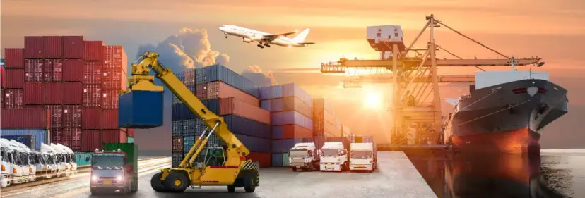 Logistyka co po studiach: Jak uniknąć pułapek na rynku pracy?