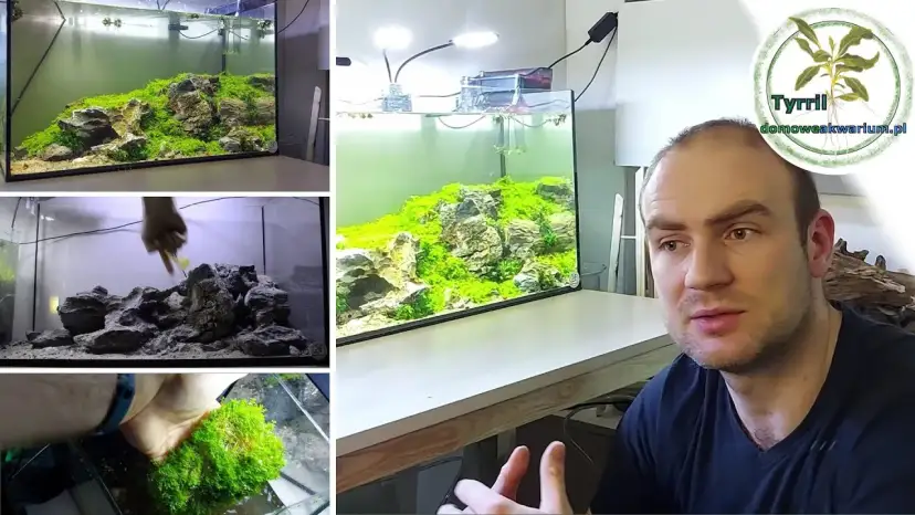 Jak urządzić akwarium 60l? Kompletny poradnik dla początkujących