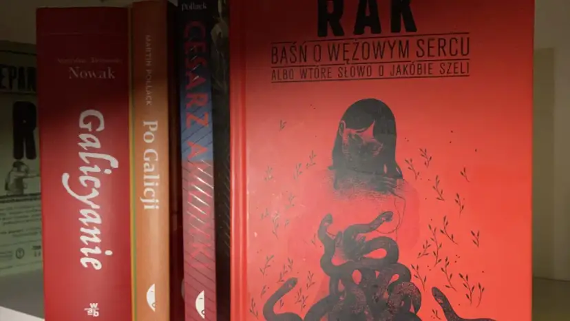 Okładka książki "Rak. Baśń o wężowym sercu" Radosława Raka. Stylizowana grafika z wężami oplatającymi postać.