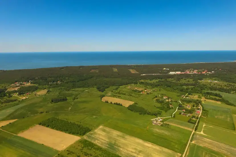 Jak podzielić działkę rolną – uniknij kosztownych błędów i formalności