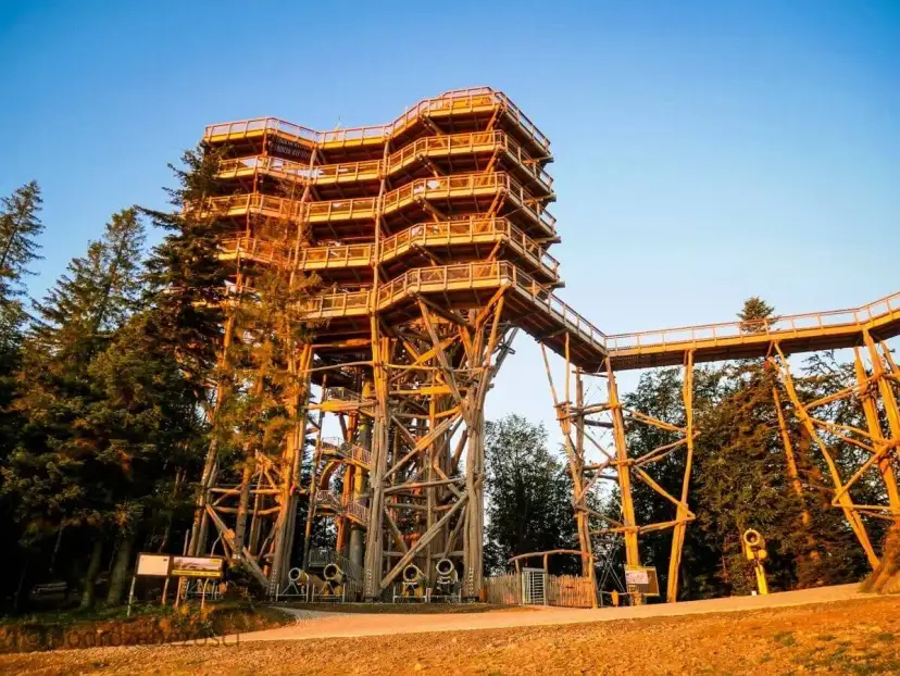 Co robić w Krynicy-Zdroju? Przewodnik po atrakcjach na cały rok