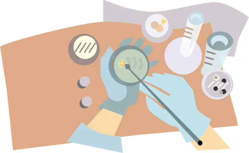 Zawody po studiach biologicznych: jakie masz możliwości kariery?