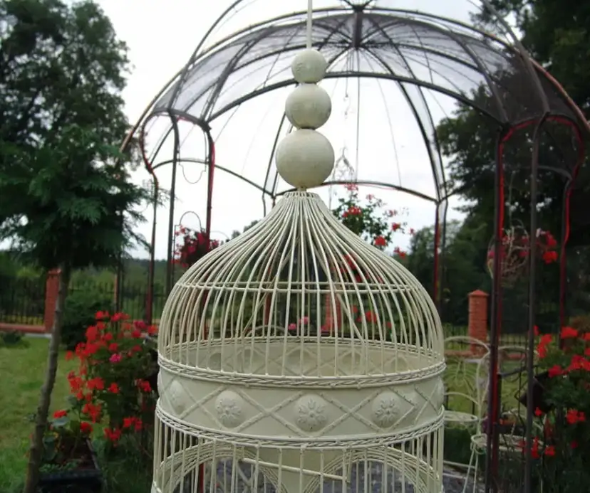 Klatka dla ptaków retro – elegancja i funkcjonalność w jednym