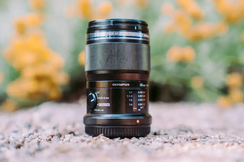 Jaki obiektyw kitowy wybrać? Sprawdź, co musisz wiedzieć