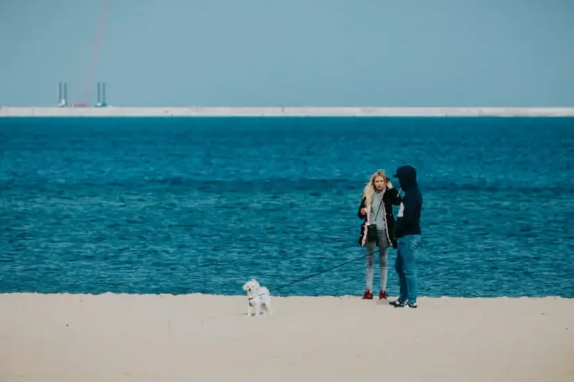 Gdańsk: Z centrum na plażę jak szybko i wygodnie?
