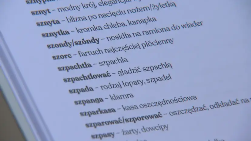 Słownik gwary bydgoskiej: odkryj unikalne słowa. Znasz je?
