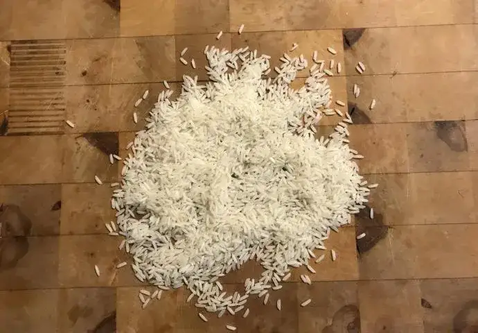 Czy ryż jest szkodliwy? Odkryj ukryte zagrożenia dla zdrowia