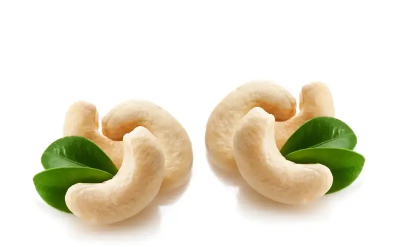 Dwa kępki orzechów nerkowca z zielonymi listkami. Niskie orzechy nerkowca indeks glikemiczny.