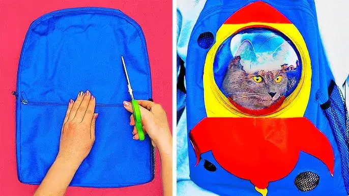 Jak uszyć nosidełko dla psa? DIY krok po kroku i bezpieczne triki