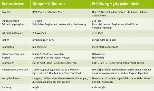 Influenza Symptome bei Erwachsenen: So erkennen Sie die Krankheit schnell