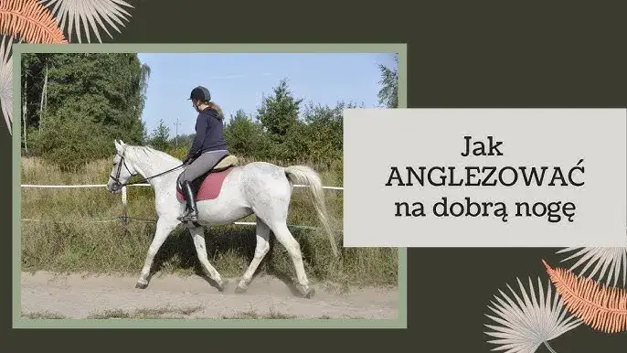 Jak poprawić anglezowanie? Trening bez konia w 15 minut!