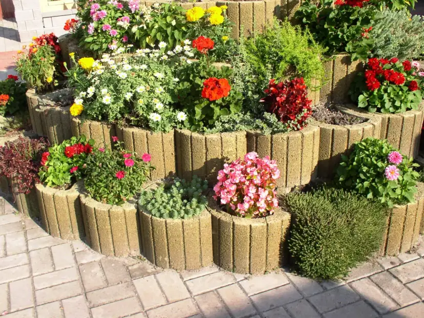 Gazony: Jakie rośliny wybrać, by zachwycały cały rok?