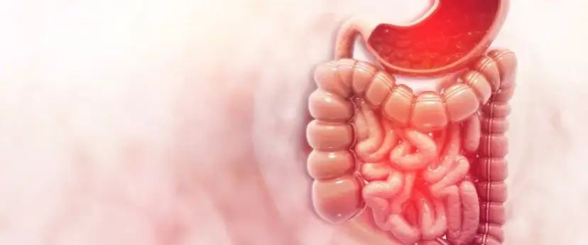 Jakie leki na grzyby w organizmie skutecznie pomagają w leczeniu?