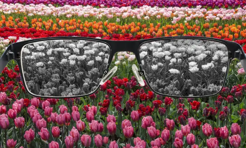 Daltonizm: jak widzi daltonista? Przyczyny, rodzaje i życie z wadą