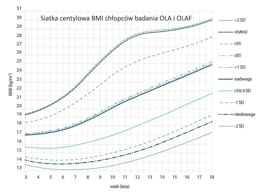 Siatka centylowa BMI dla chłopców. Wiek 10 lat: prawidłowy wzrost to ok. 19-22 BMI, zależnie od centyla.