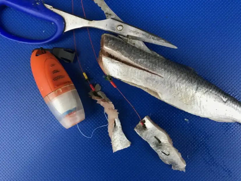 Jaki rozmiar haczyka na leszcza? Uniknij najczęstszych błędów w wędkarstwie