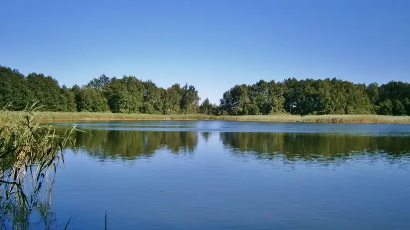 Jezioro Brzeźno: Kujawski raj dla wędkarzy i tajemnica wyspy 1976