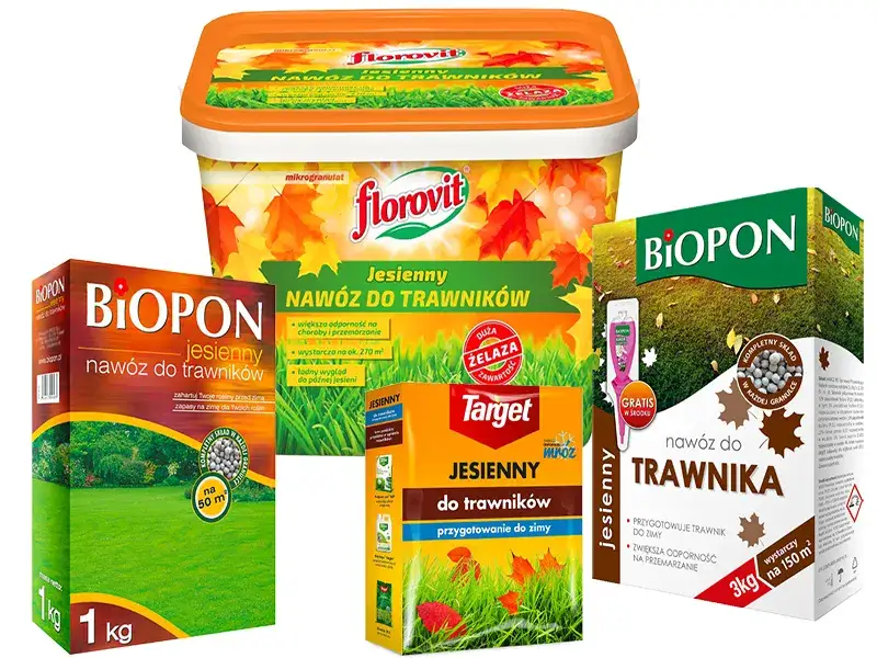 Kiedy sypać nawóz jesienny, aby nie stracić zdrowych roślin