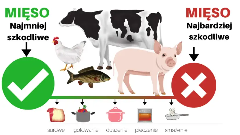 Czy mięso tuczy? Odkryj prawdę o wpływie na masę ciała