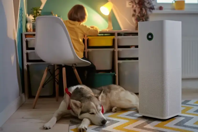 Zbuduj Oczyszczacz Powietrza DIY: Tani i Skuteczny Sposób na Smog