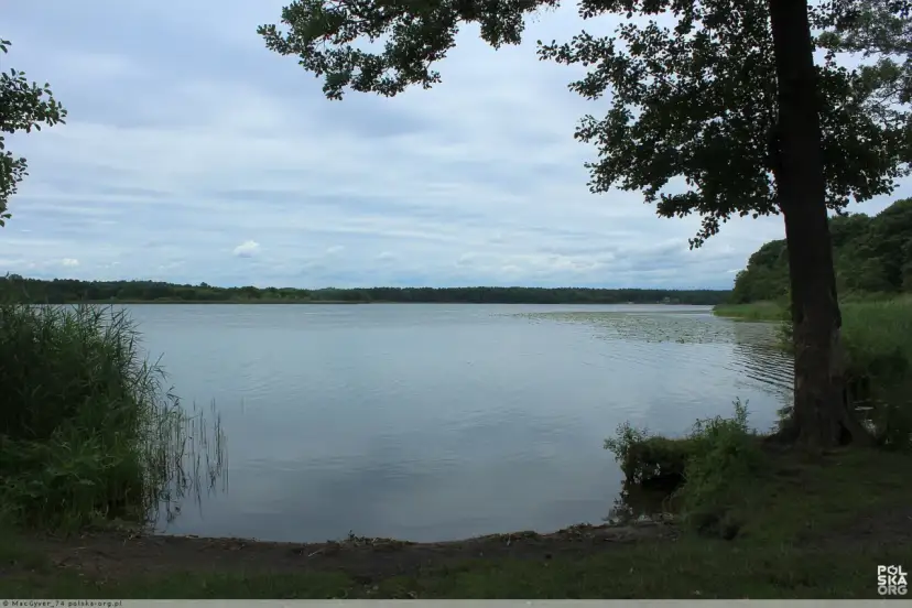 Jezioro Rudnickie: Poznaj jego tajemnice i atrakcje w Grudziądzu