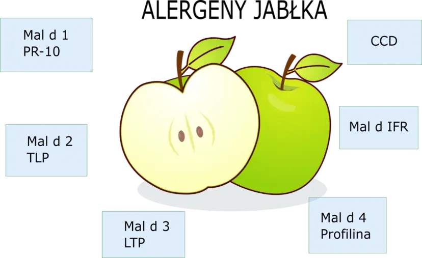 Alergia na jabłko u niemowląt: Jak rozpoznać i bezpiecznie podać?