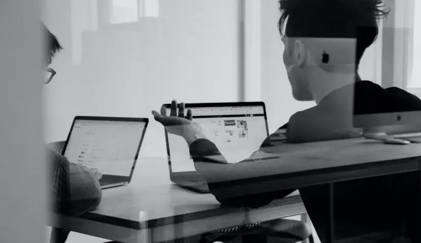 Administracja co po studiach: sprawdź, jakie masz możliwości zawodowe