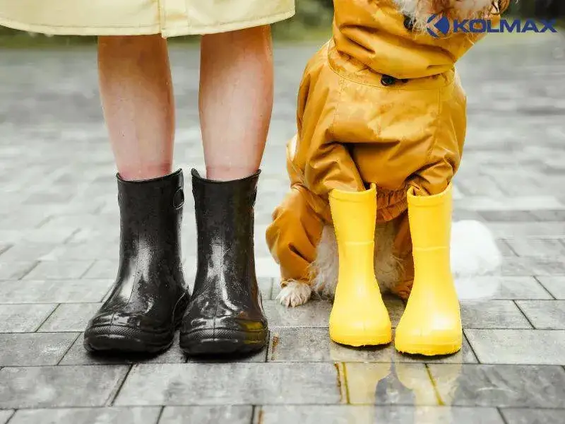 Kalosze dla chłopca 37: Guma czy EVA? Wybierz najlepsze!