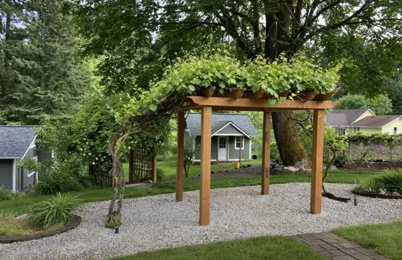 Drewniana pergola z pnączami, idealna inspiracja, jak zrobić pergolę z drewna.