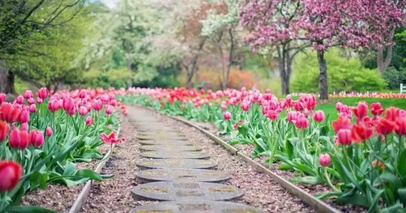 Najlepsze materiały na chodnik w ogrodzie – unikaj kosztownych błędów