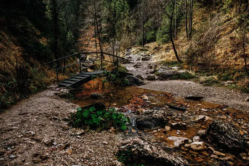 Rezerwat przyrody Wąwóz Homole – niezwykłe zdjęcia i widoki, które zachwycają