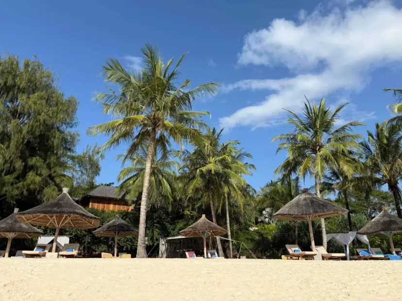 Plaża na Zanzibarze, palmy, leżaki pod strzechą. Wiza na lotnisku Zanzibar już za nami, czas na relaks.