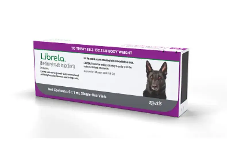 Librela dla psa: Ulga w bólu stawów? Poznaj przełomową terapię