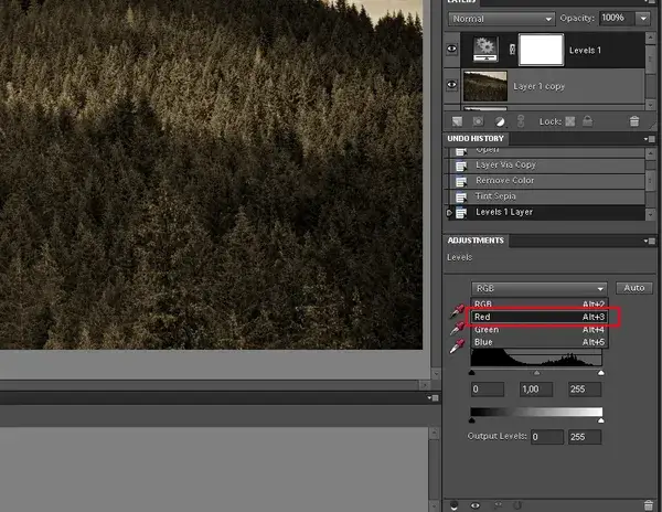 Jak zrobić sepie w Photoshopie i uzyskać wyjątkowy efekt na zdjęciach
