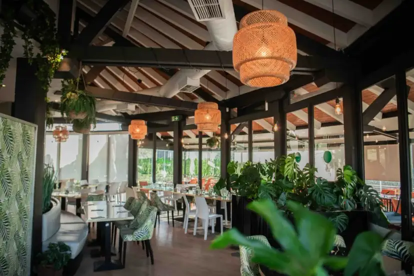 Pizza Jardín Moraleja Green: Carta, Horarios y Claves para tu Visita