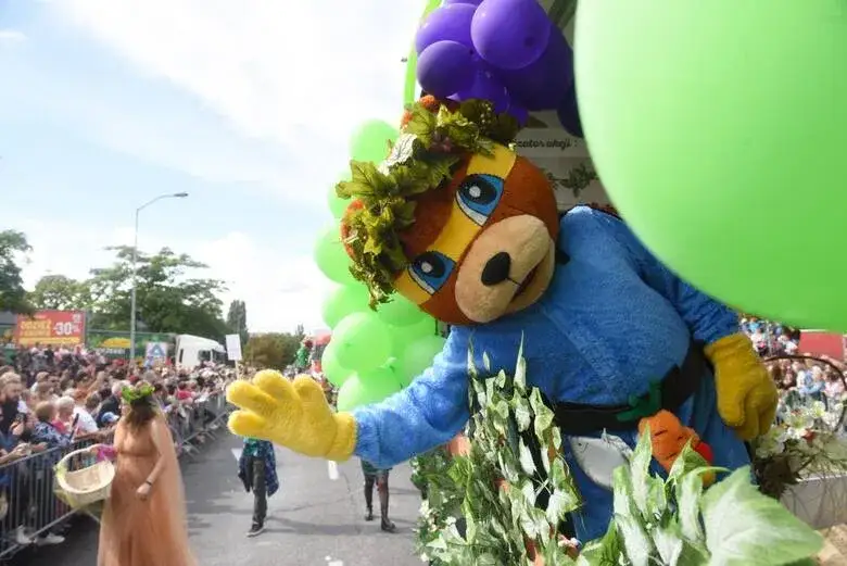 Co dziś w Zielonej Górze? Brak wydarzeń, ale nadchodzą festiwale!