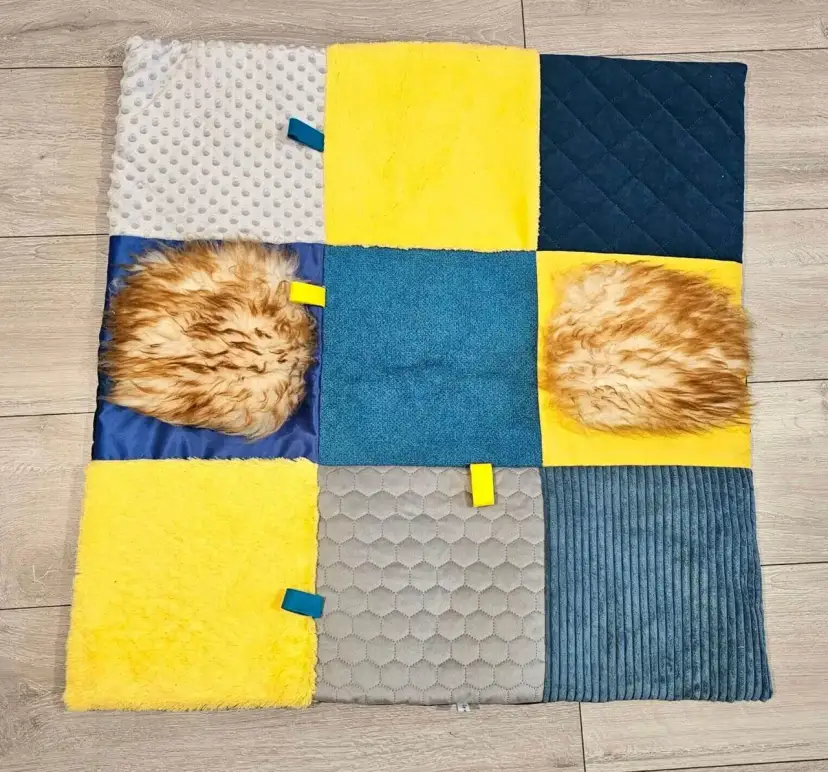 Mata sensoryczna dla psa – jak poprawić jego samopoczucie i zabawę