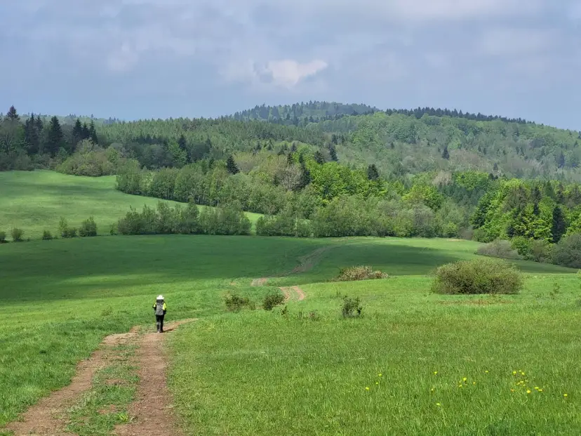 Samotny turysta na szlaku, zastanawiający się, ile dni zajmie mu przejście Głównego Szlaku Beskidzkiego.