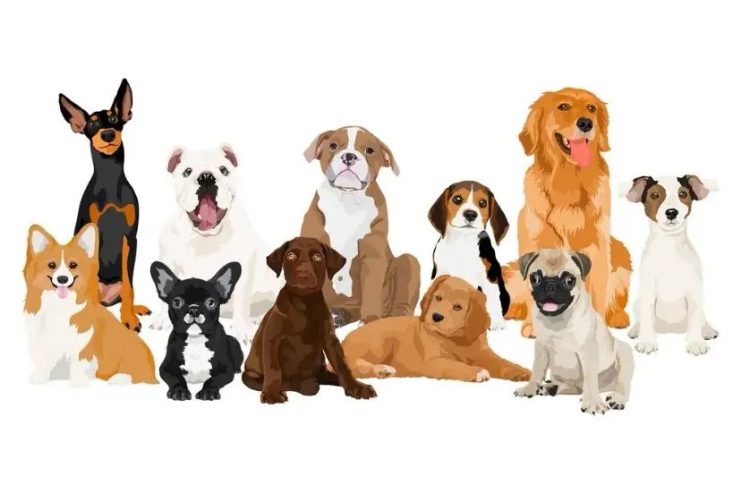 Jaki pies dla mnie? Wybierz idealnego pupila na lata!