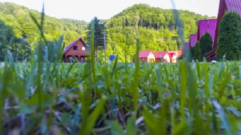 Bieszczady: Noclegi dopasowane do Ciebie. Góry, jezioro czy cisza?