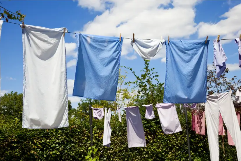 Jak szybko wysuszyć koszulę? 5 skutecznych metod na ekspresowe suszenie