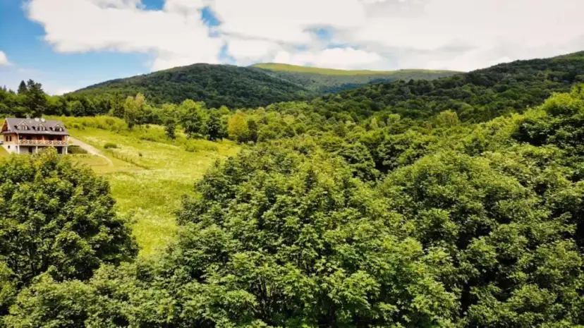 Co warto kupić w Bieszczadach? Odkryj unikalne skarby regionu