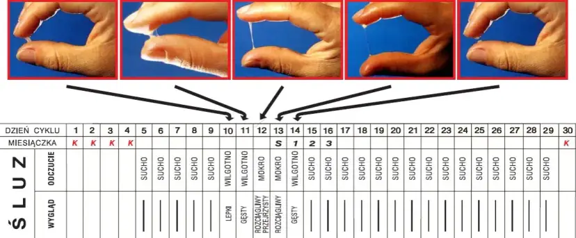 Jak opóźnić owulację: skuteczne metody na zarządzanie cyklem