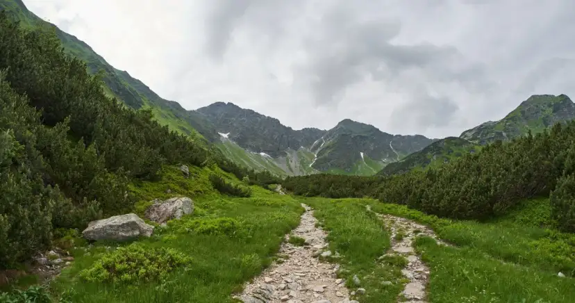 Kiedy otworzą szlaki w Tatrach? Sprawdź, by nie przegapić sezonu