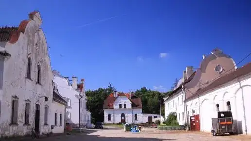 Stadnina Koni Moszna: Odkryj serce polskiego jeździectwa i zamku!