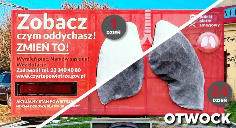 Smog a płuca: Jak zanieczyszczenia niszczą Twój układ oddechowy?