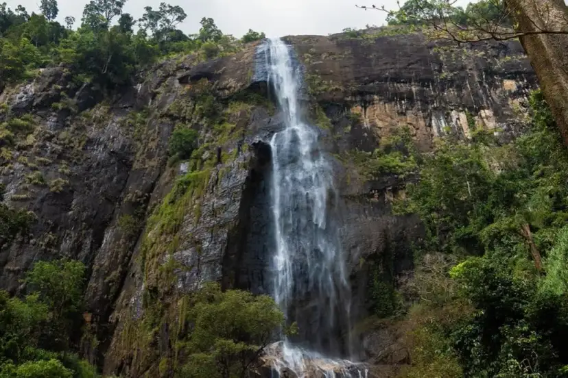 Czy na Sri Lance jest bezpiecznie? Oto, co musisz wiedzieć przed podróżą