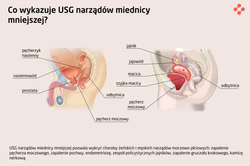 Ból jąder: Przyczyny, objawy alarmowe i pilna pomoc