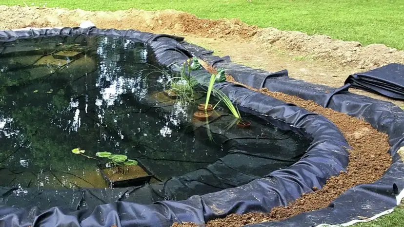 Oczka wodne jak zrobić - proste kroki, aby uniknąć błędów i kosztów